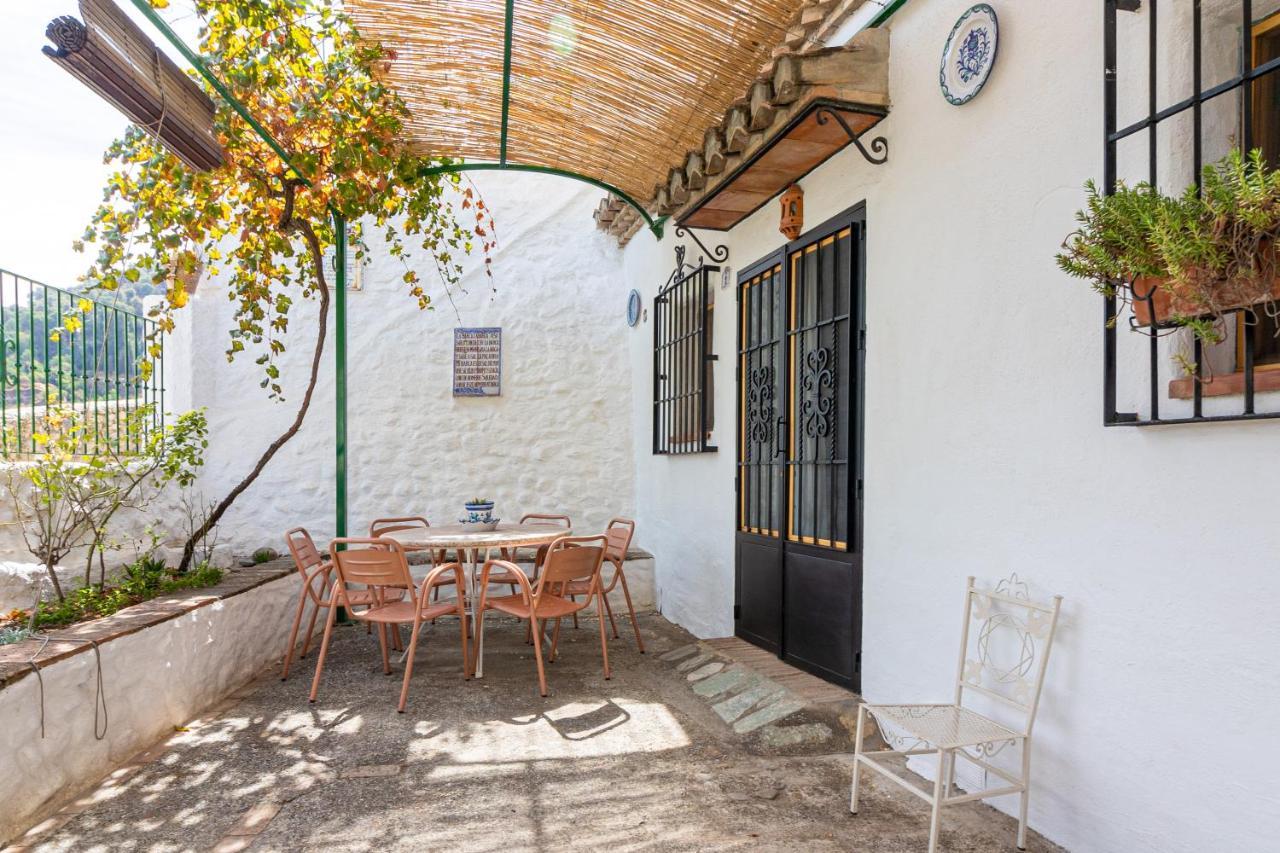 Cuevas El Abanico - Vtar Vivienda Turistica De Alojamiento Rural Villa Granada Dış mekan fotoğraf